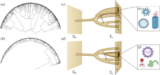 Parasites and functional evolutionary trees.