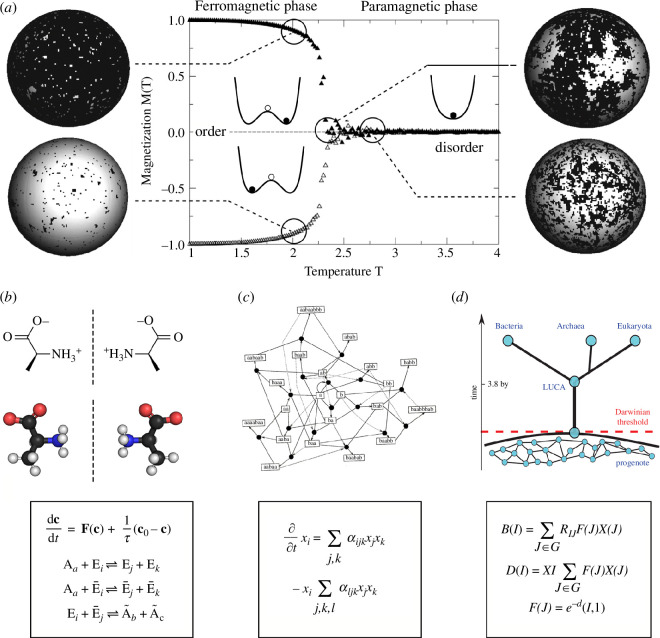Phase transition in physics versus evolutionary transitions.