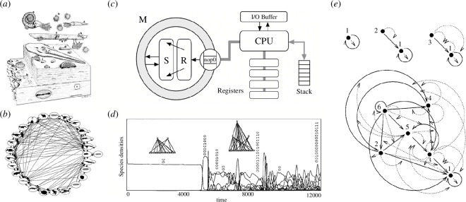 Universal patterns in ecosystems and digital ecologies.