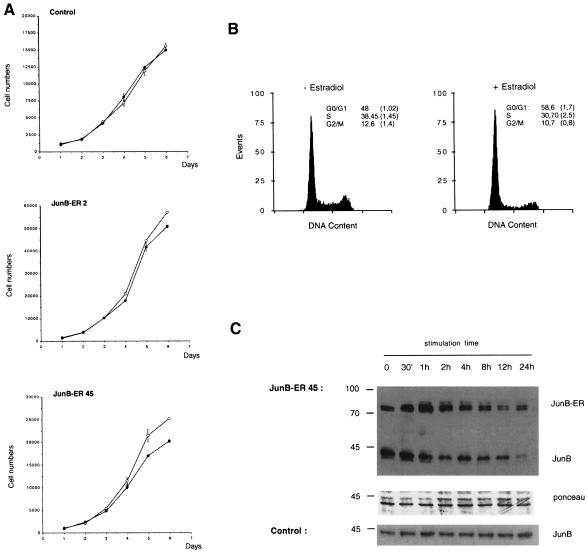 graphic file with name cdd192f9.jpg