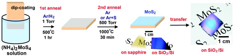 FIGURE 3