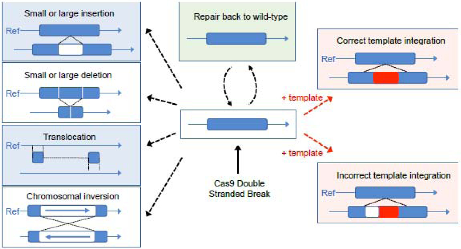 Figure1: