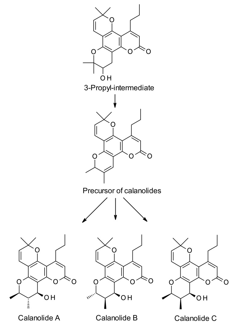 Scheme 3