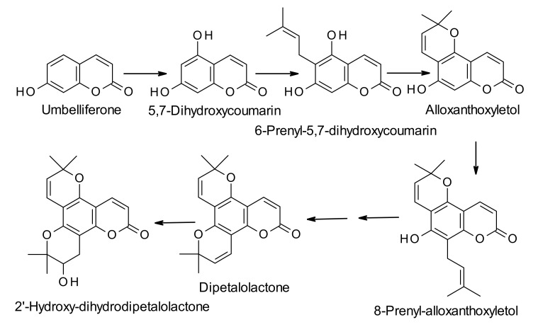 Scheme 2