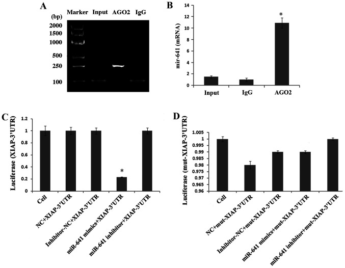 Figure 6.