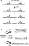 Figure 4.