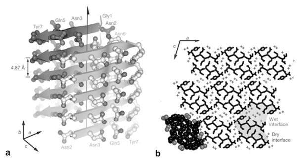 Figure 10.6