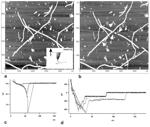 Figure 10.11