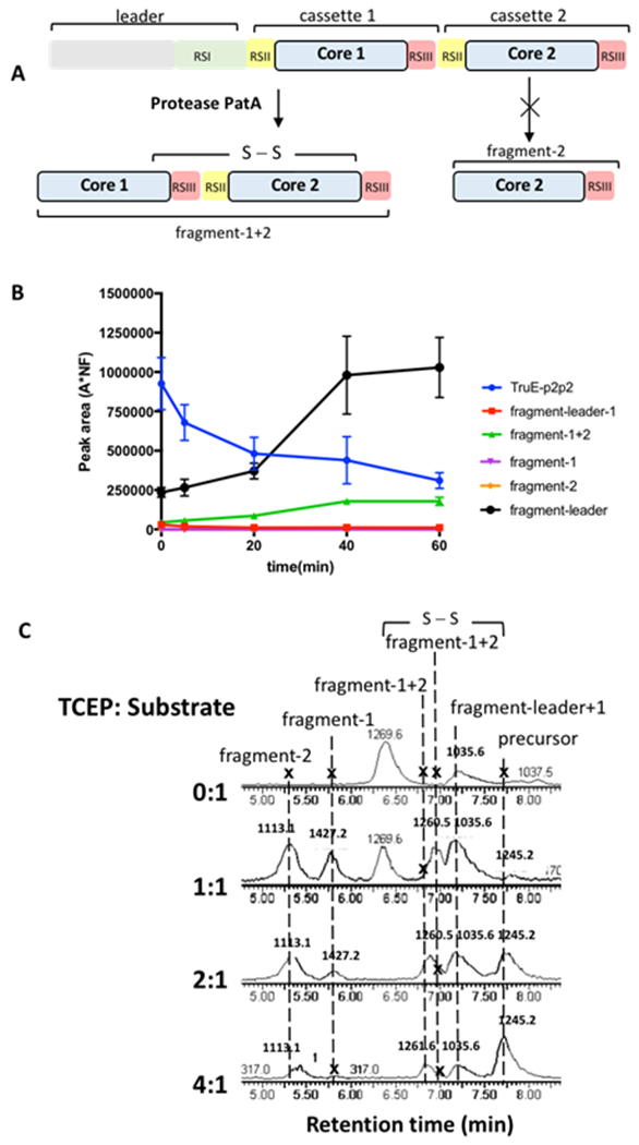 Figure 5.