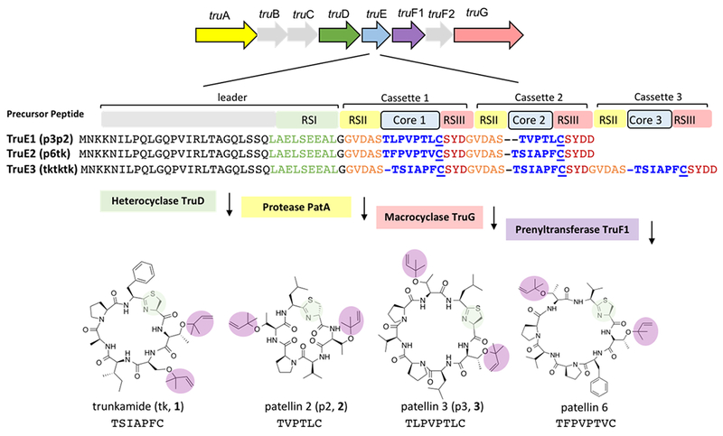 Figure 1.