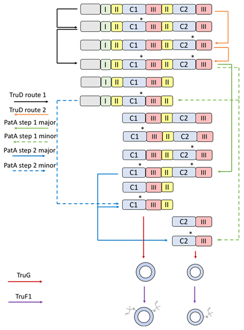 Figure 7.