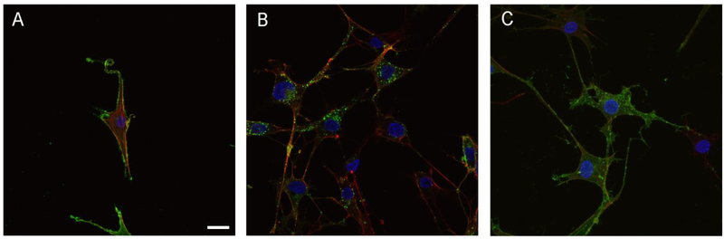 Figure 7.