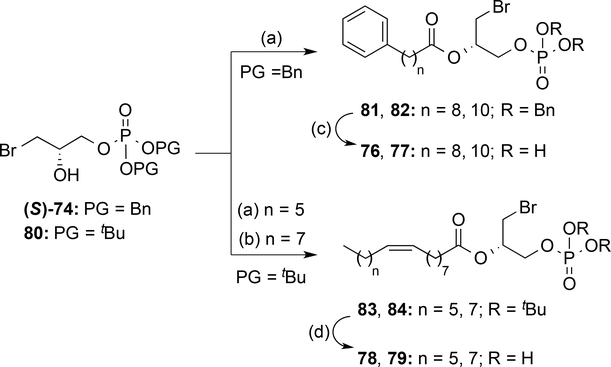 Scheme 5.