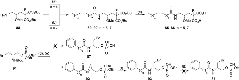 Scheme 6.