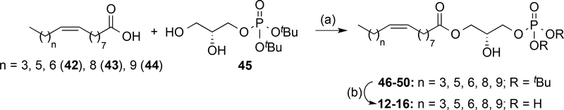 Scheme 2.