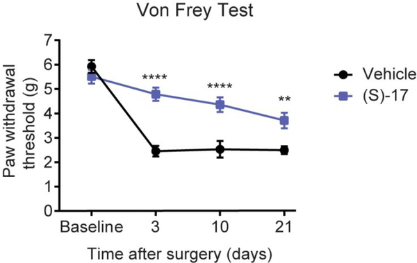 Figure 11.