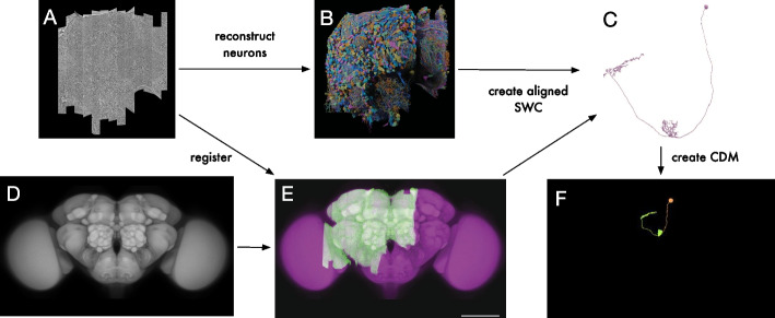 Fig. 4