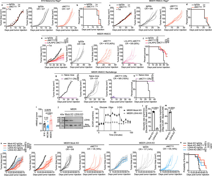 Extended Data Fig. 8