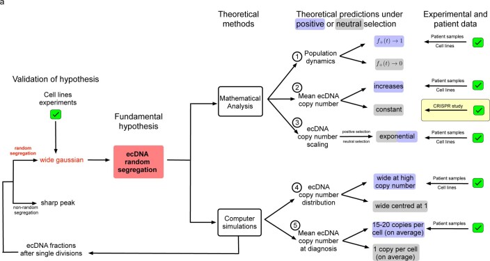 Extended Data Fig. 1