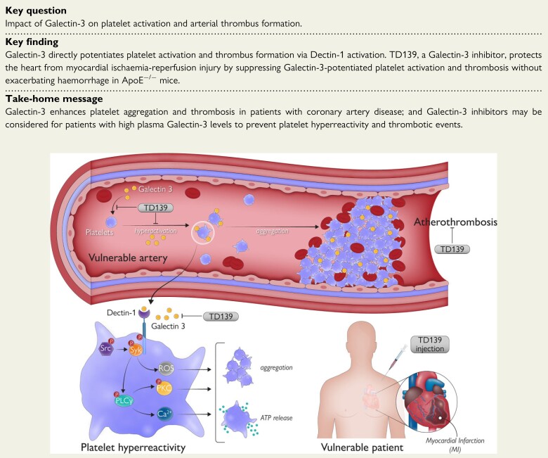 Structured Graphical Abstract