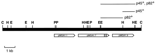 FIG. 7