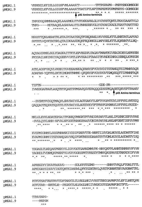 FIG. 8