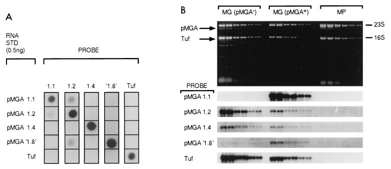 FIG. 4