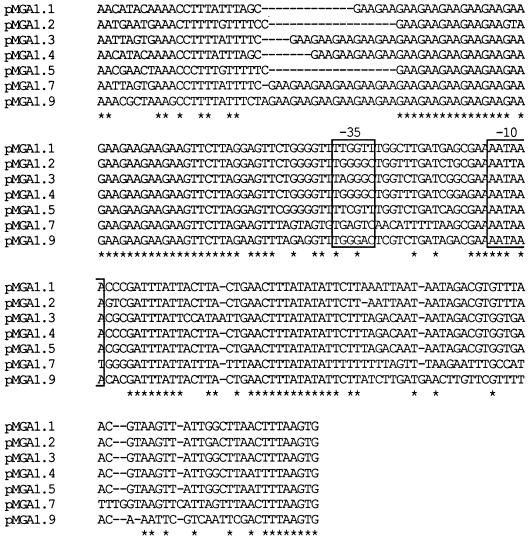 FIG. 9