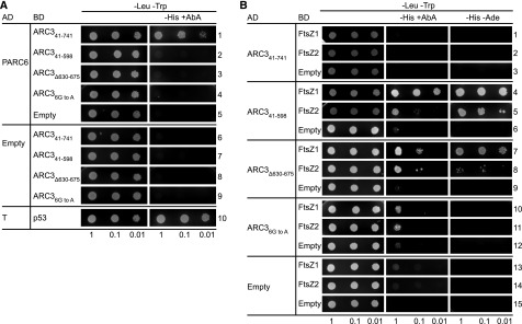 Figure 4.