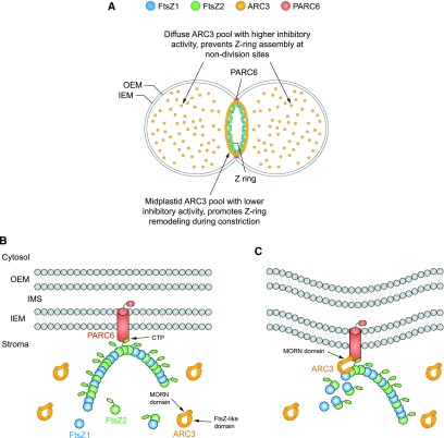 Figure 10.