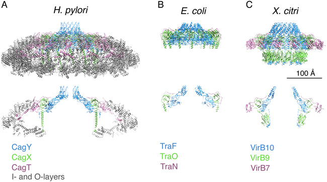 Fig. 4.