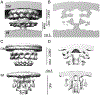 Fig. 2.