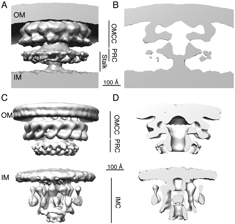 Fig. 2.