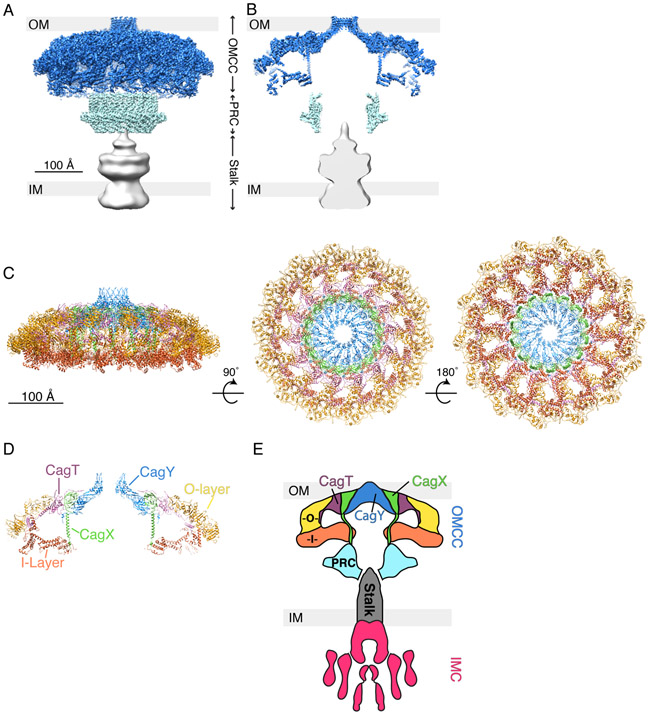 Fig. 3.