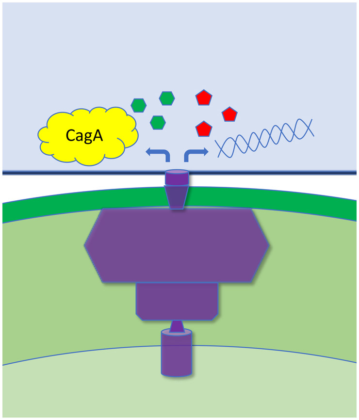 Fig. 1.