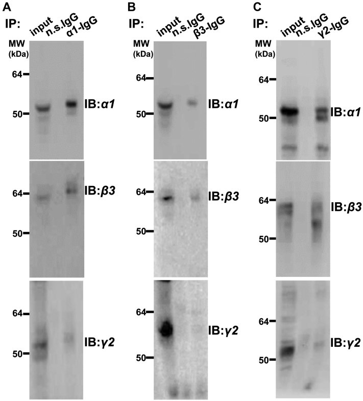 Figure 3