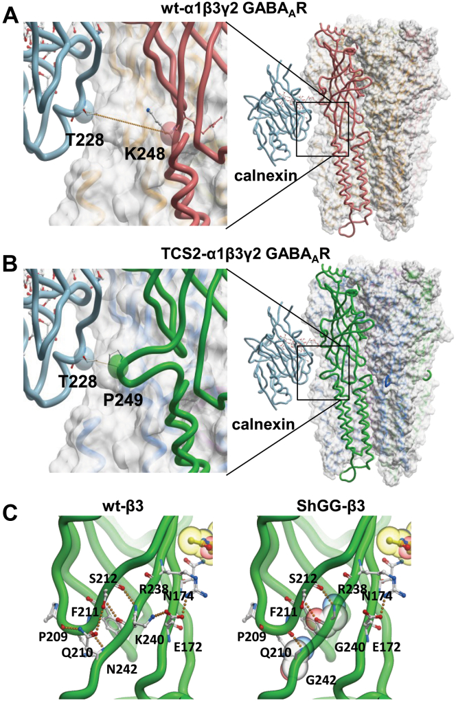 Figure 10