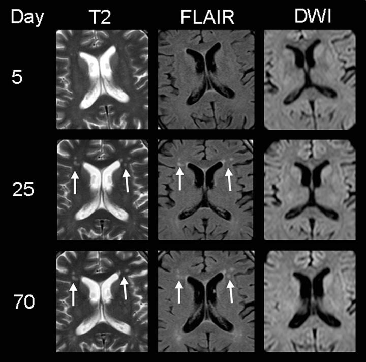 Fig 3.