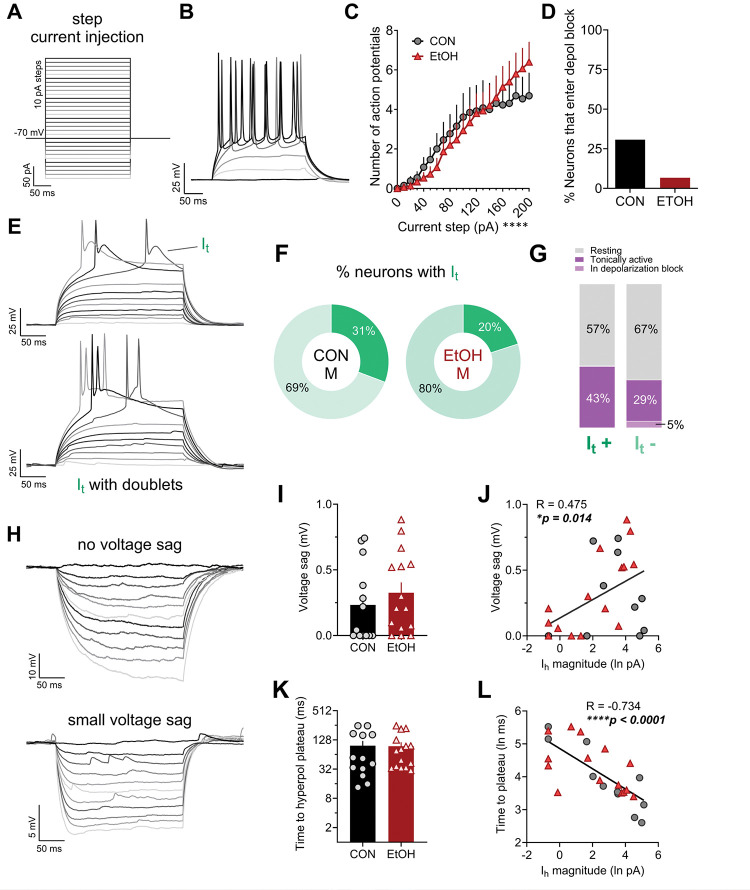 Figure 4: