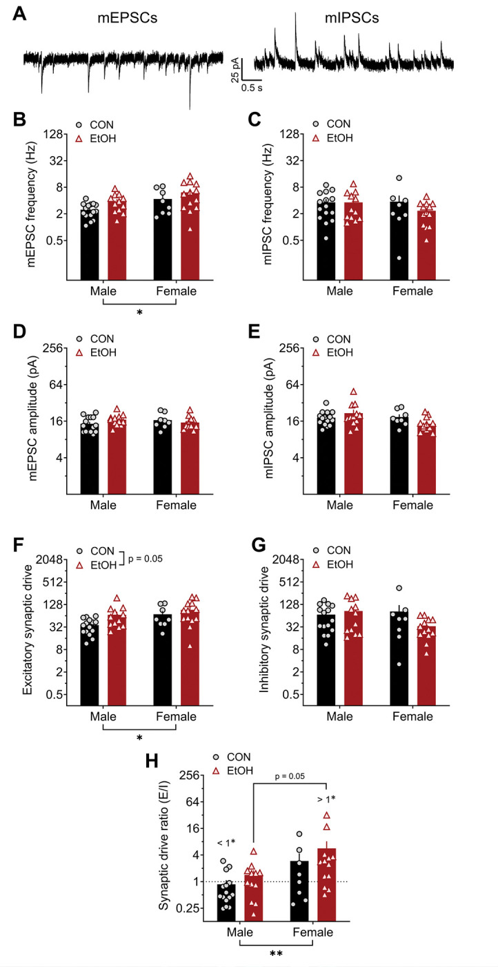 Figure 5: