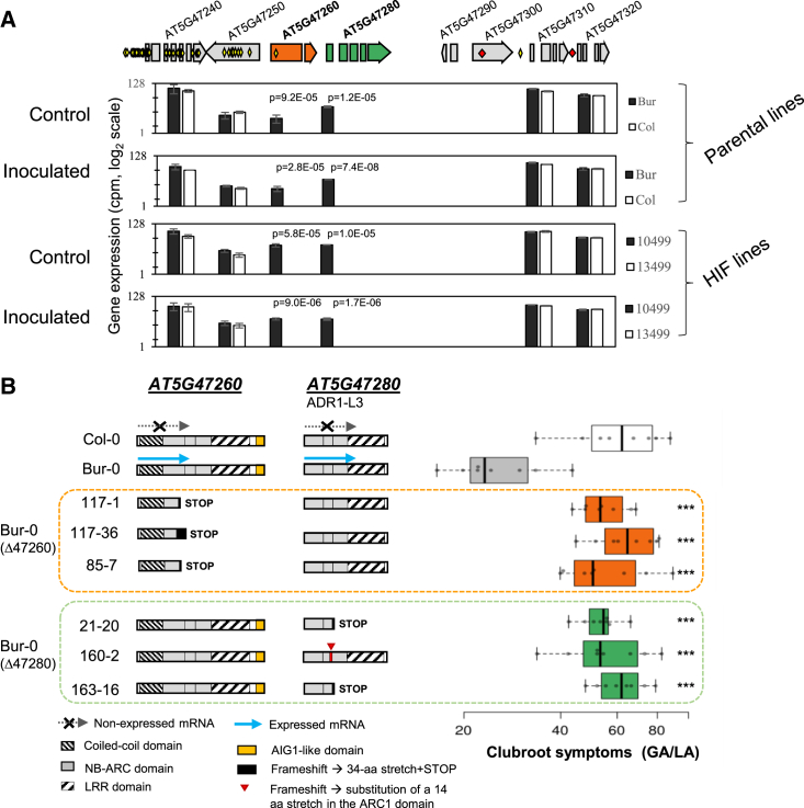 Figure 2