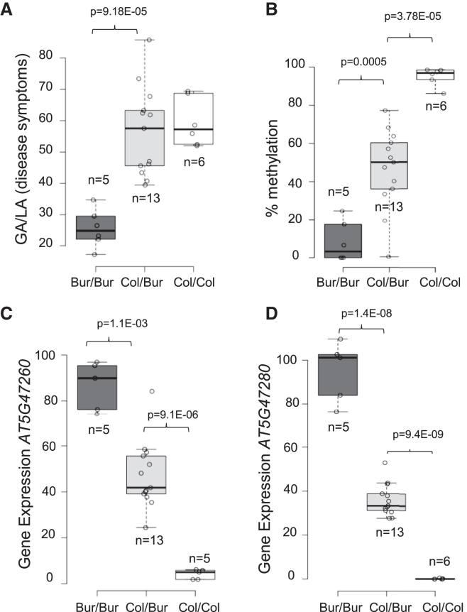 Figure 4