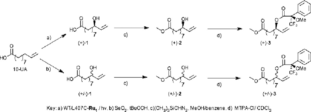 Scheme 1