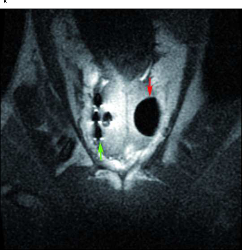 Fig. 2: