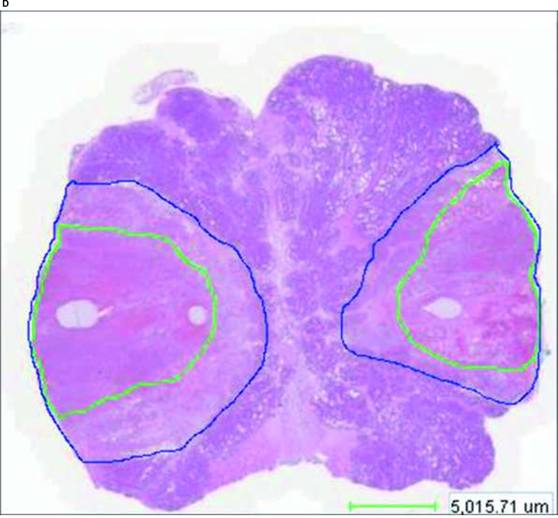 Fig. 2: