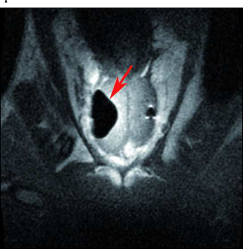 Fig. 2: