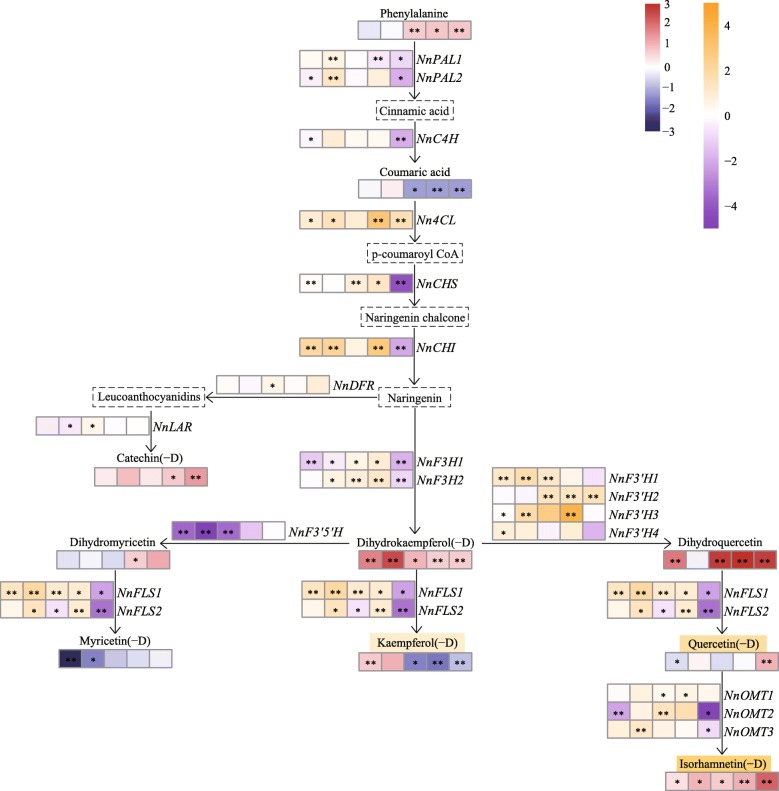 Fig. 10