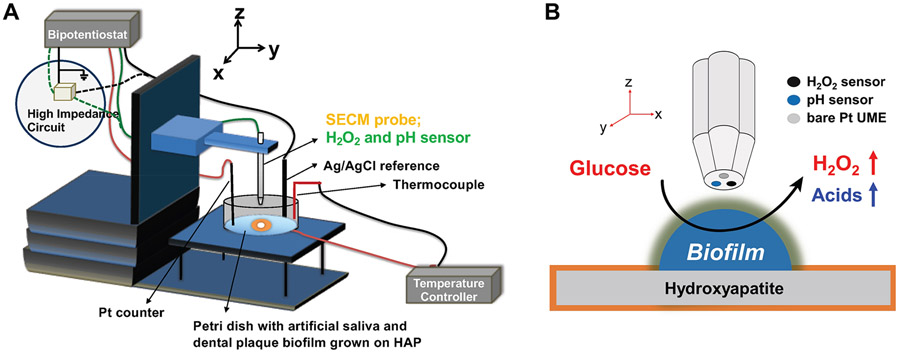 Figure 5.