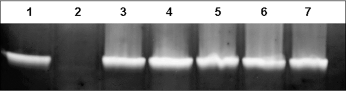 FIG. 7.