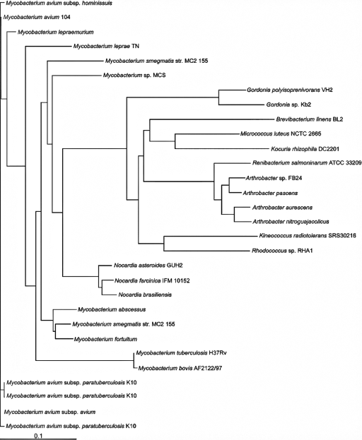 FIG. 2.